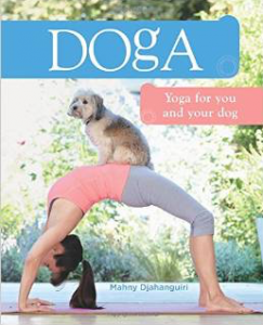 animalier-magazine-doga-yoga-for-you-and-your-dog