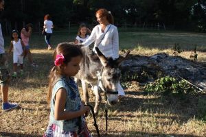 animalier-magazine-scuola-nel-bosco (2)