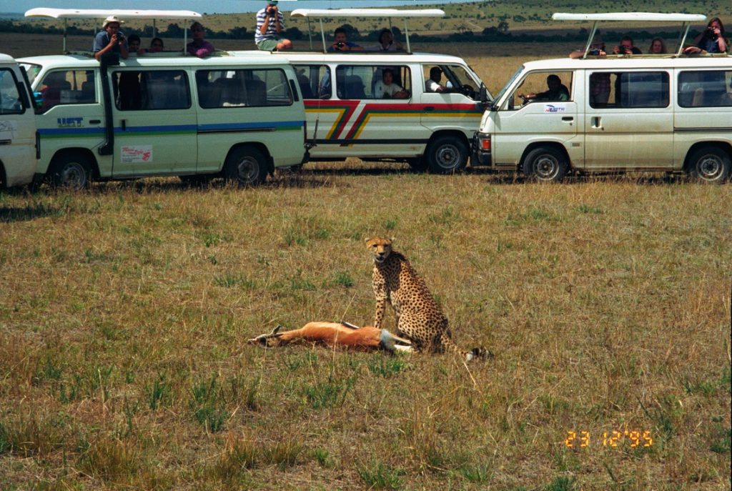 Safari in Africa © Jerzy Strzelecki