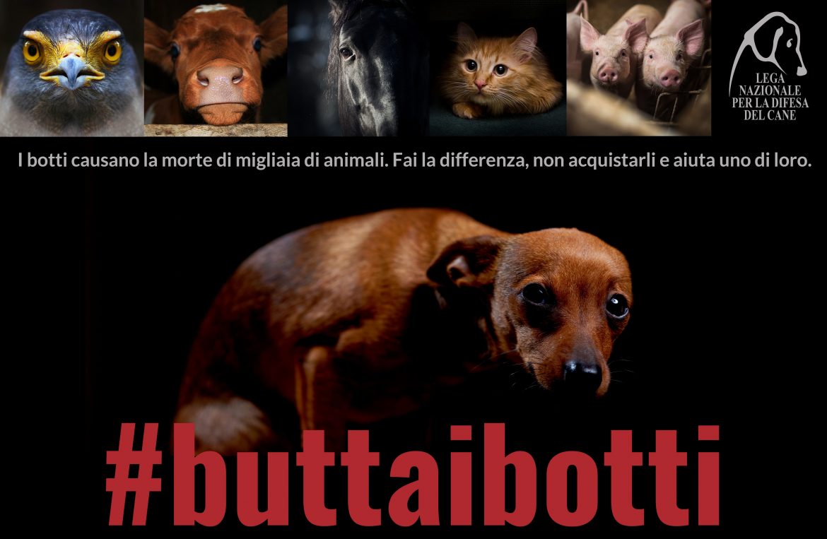 #buttaibotti-consigli-di-lega-del-cane