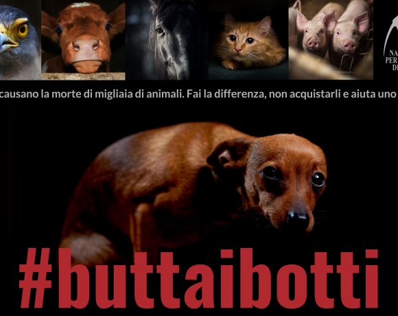 #buttaibotti-consigli-di-lega-del-cane