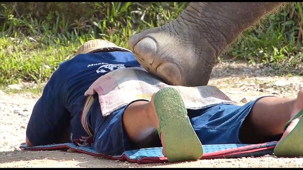 massaggio-elefante-attrazione-thaildandese