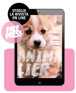 Animalier Magazine n1 freepress