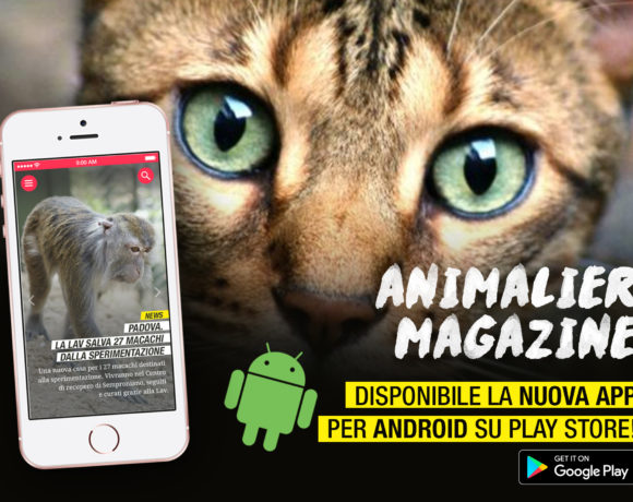 animalier_app_android