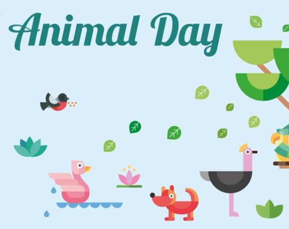 World-Animal-Day